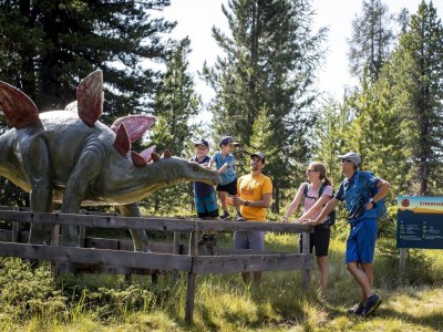 Chalet Superior Chalet # 23 mit IR-Sauna & Whirlpool - Environment photo 29