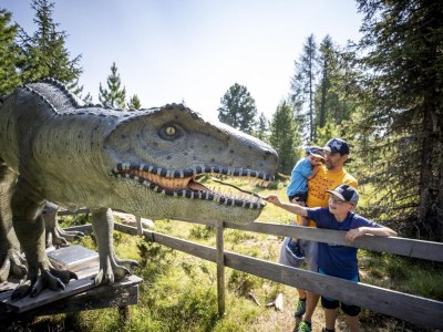 Chalet Premium Chalet # 21 mit Sauna - Environment photo 32