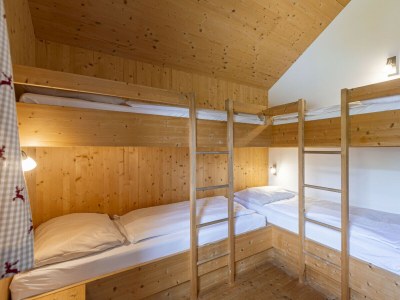 Chalet Premium Chalet # 19 mit IR-Sauna & Whirlpool - Features photo 21