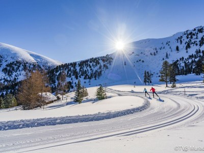 Chalet Premium Chalet # 19 mit IR-Sauna & Whirlpool - Environment photo 25
