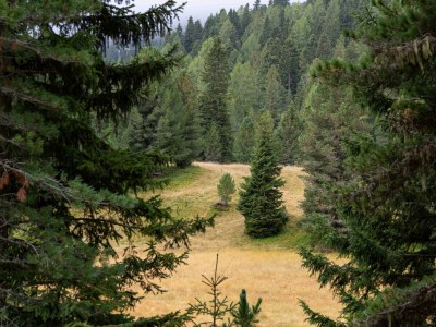 Chalet Deluxe Superior Chalet # 32 mit Sauna & Hot Tub - Environment photo 45