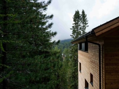 Chalet Deluxe Superior Chalet # 32 mit Sauna & Hot Tub - Environment photo 46