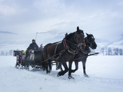 Chalet Superior Ferienhaus # 4D mit Sauna - Environment photo 25