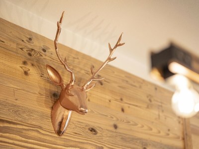 Apartment Superior Ferienwohnung # 1C mit Sauna - Features photo 13