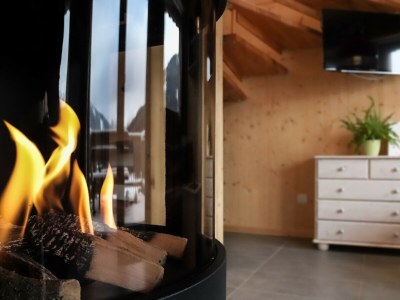 Chalet Superior Ferienhaus # 61 mit IR-Sauna - Features photo 6