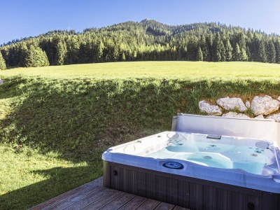 Chalet 06_FH8P_ADH056 (WP außen) - Features photo 14