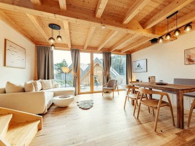 Chalet Chalet # RFL004 mit 2 Schlafzimmern und Sauna - Features photo 8