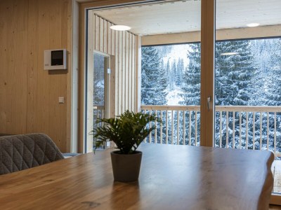 Apartment Ferienwohnung mit 3 Schlafzimmern & Sauna - Features photo 7