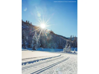 Apartment Ferienwohnung mit 3 Schlafzimmern & Sauna - Environment photo 20