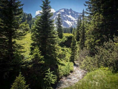 Apartment Ferienwohnung mit 2 Schlafzimmern - Environment photo 28