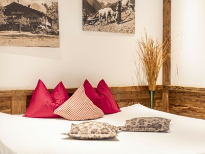 Chalet 09_Fh_2Sz_DRK_501_Arnika - Features photo 26