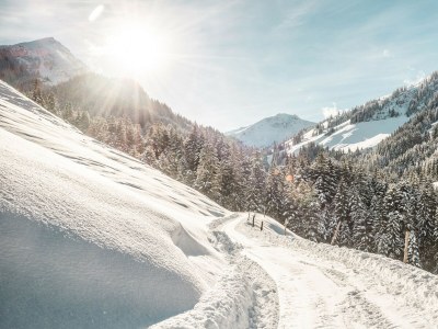 Chalet 09_Fh_2Sz_DRK_501_Arnika - Environment photo 35