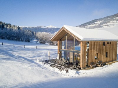 Chalet Premium Chalet # 27 mit Sauna - Outdoor photo 2