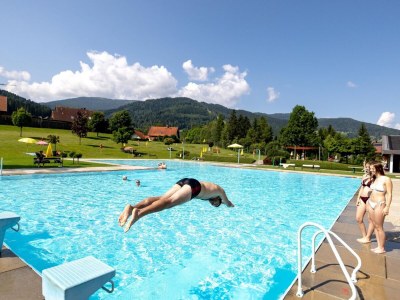 Chalet Premium Chalet # 27 mit Sauna - Environment photo 30