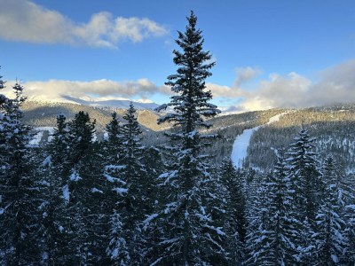 Chalet Superior Chalet # 13 mit Sauna & Hot Tub - Environment photo 32