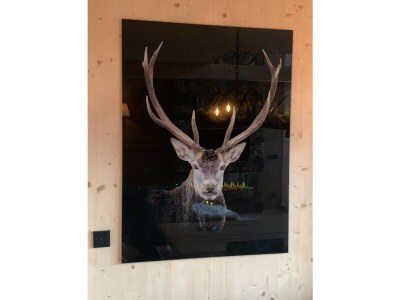 Chalet Superior Chalet # 25 mit Sauna - Features photo 11