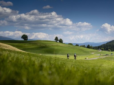 Apartment Ferienwohnung #2 mit 1 Schlafzimmer für bis zu 4 Personen - Environment photo 24