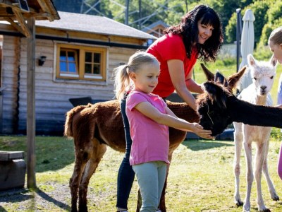 Apartment Ferienwohnung #2 mit 1 Schlafzimmer für bis zu 4 Personen - Environment photo 29