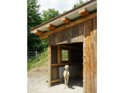 Apartment Ferienwohnung #5 mit 2 Schlafzimmern für bis zu 7 Personen - Environment photo 42