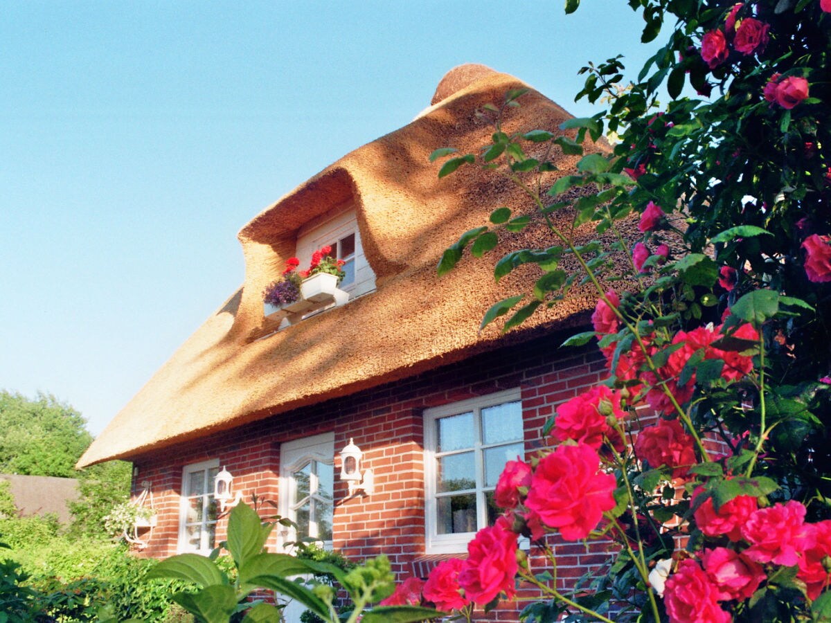 Holiday house "The second home" ... thatched - Outdoor photo 3