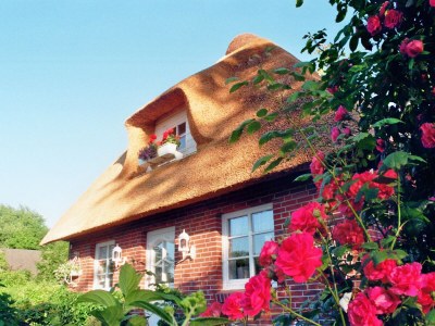 Holiday house "The second home" ... thatched - Outdoor photo 3