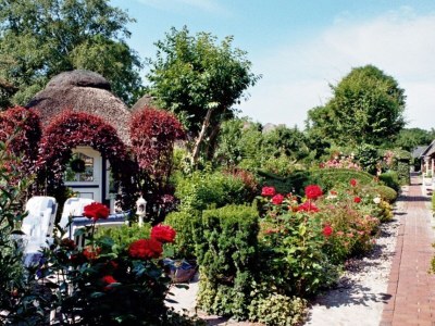 Holiday house "The second home" ... thatched - Environment photo 31