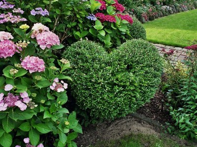 Holiday house "The second home" ... thatched - Document photo 40