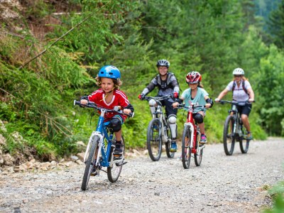 Chalet Premium Ferienhaus # 58 mit Sauna & Whirlpool - Environment photo 27