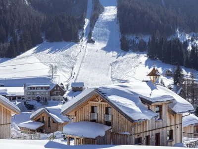 Chalet Premium Ferienhaus # 58 mit Sauna & Whirlpool - Environment photo 33