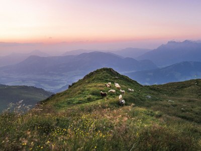 Apartment Ferienwohnung mit 4 Schlafzimmern - Environment photo 33