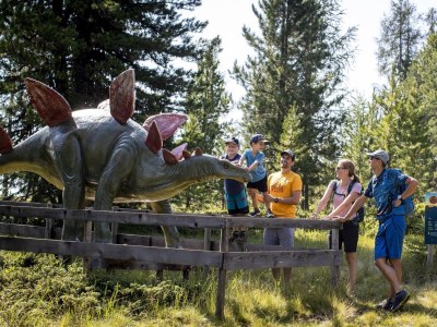 Chalet Chalet # 40b mit 4 Schlafzimmern & IR-Sauna - Environment photo 23