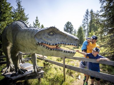 Chalet Chalet # 2a mit 4 Schlafzimmer IR-Sauna & Whirlpool - Environment photo 22