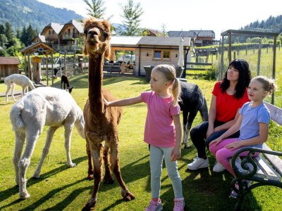 Chalet Chalet # 16 mit 4 Schlafzimmer Sauna & Whirlpool - Environment photo 32
