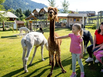 Chalet Chalet # 52 mit 3 Schlafzimmer Sauna & Whirlpool - Environment photo 61
