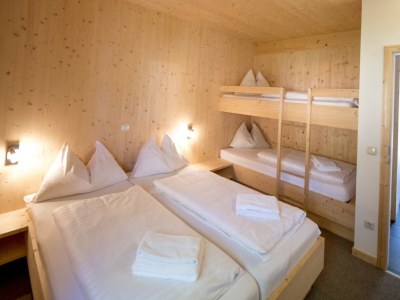 Chalet Premium Chalet # 42 mit IR-Sauna - Features photo 16