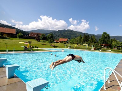 Chalet Premium Chalet # 42 mit IR-Sauna - Environment photo 34