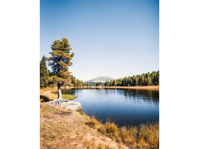 Chalet Superior Chalet # 2 mit Sauna & Hot Tub - Environment photo 19