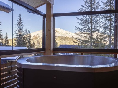 Chalet Superior Chalet # 6 mit Sauna & Hot Tub - Features photo 19