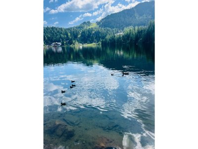 Chalet Superior Chalet # 14 mit Sauna & Hot Tub - Environment photo 34