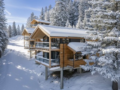 Chalet Superior Chalet # 18 mit Sauna & Hot Tub - Outdoor photo 2