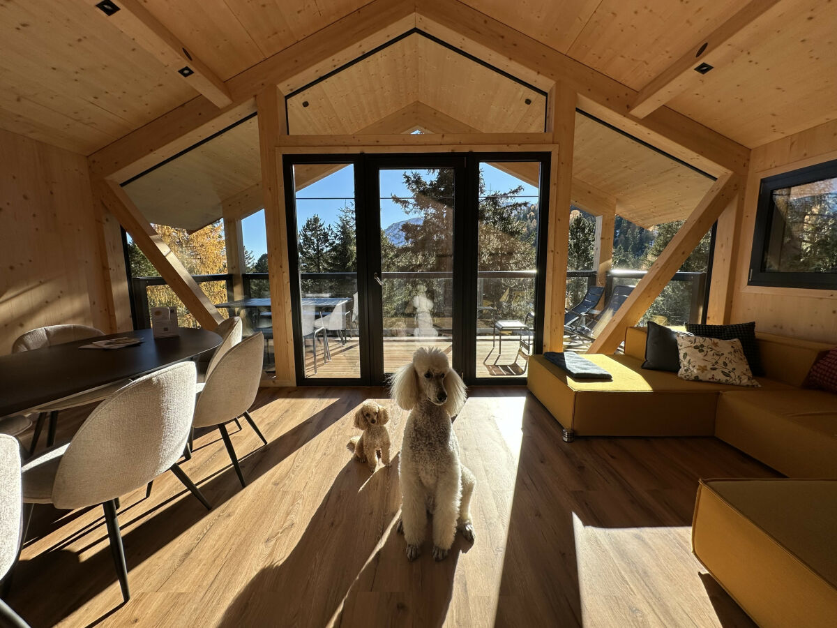 Chalet Superior Chalet # 31 mit Sauna & Hot Tub - Features photo 3