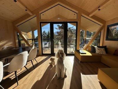 Chalet Superior Chalet # 31 mit Sauna & Hot Tub - Features photo 3