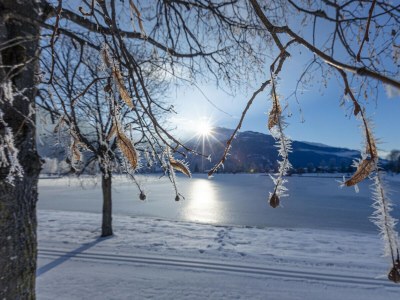 Chalet Superior Ferienhaus # 4A mit Sauna - Environment photo 24