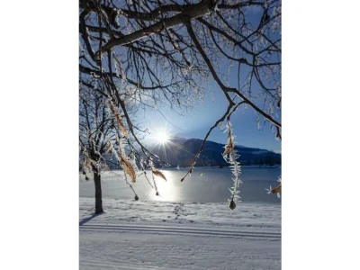 Chalet Superior Ferienhaus # 2A mit Sauna - Environment photo 23