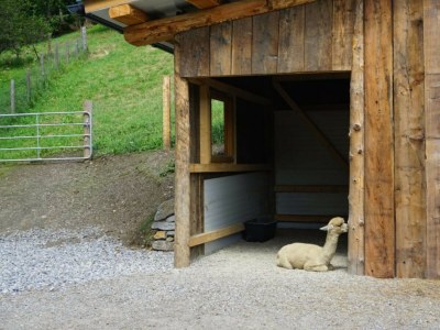 Apartment Ferienwohnung #1 mit 2 Schlafzimmern für bis zu 6 Personen - Environment photo 25