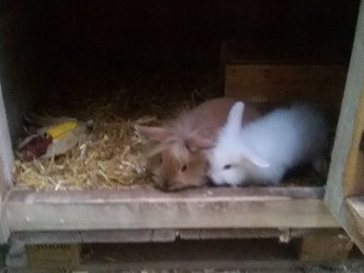 Holiday apartment In the house Petra - Environment photo 11