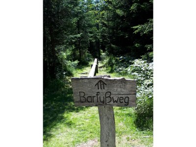 Chalet 07_FH8-10P_ADH062 (WP außen) - Environment photo 24