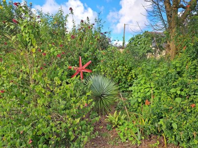 Holiday house Granitsteinhaus in idyllischer Lage – Guimaec - Outdoor photo 6
