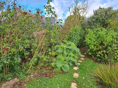 Holiday house Granitsteinhaus in idyllischer Lage – Guimaec - Outdoor photo 7