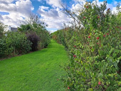 Holiday house Granitsteinhaus in idyllischer Lage – Guimaec - Outdoor photo 9